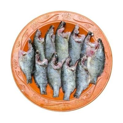 মেনি মাছ